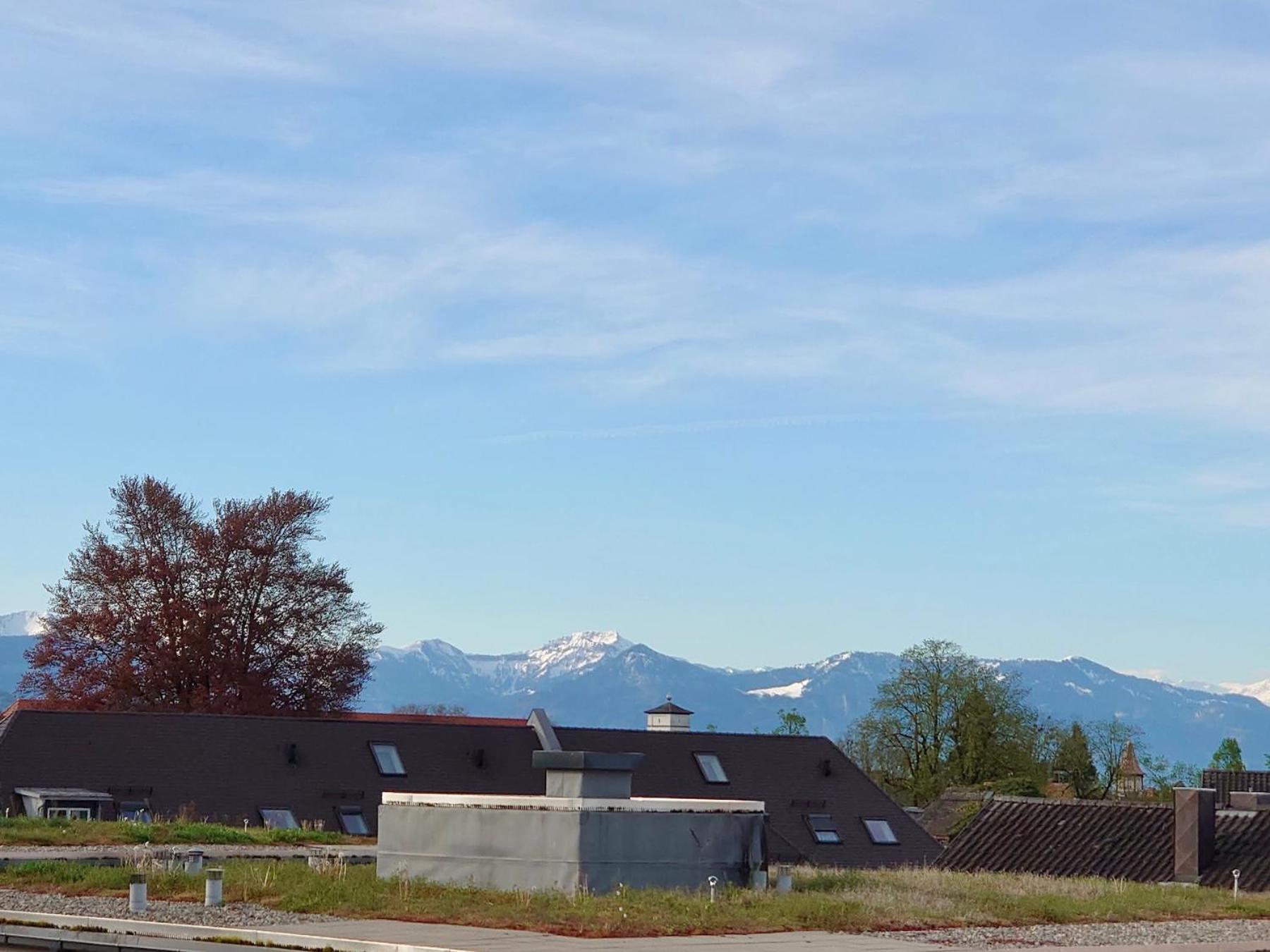 Ferienwohnung Riva - Wohlfuehloase In Ruhiger Lage Lindau  Exterior photo